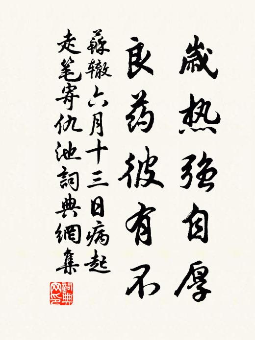 苏辙岁热强自厚，良药彼有不书法作品欣赏