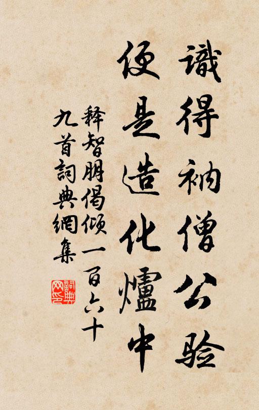 释智朋识得衲僧公验，便是造化炉中书法作品欣赏