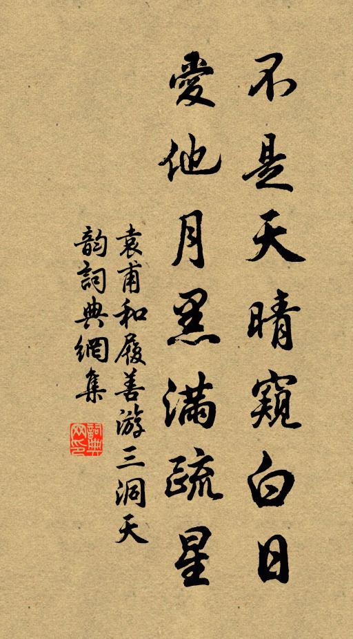 袁甫不是天晴窥白日,爱他月黑满疏星书法作品欣赏