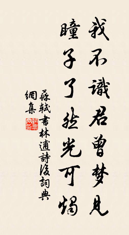 苏轼我不识君曾梦见，瞳子了然光可烛书法作品欣赏