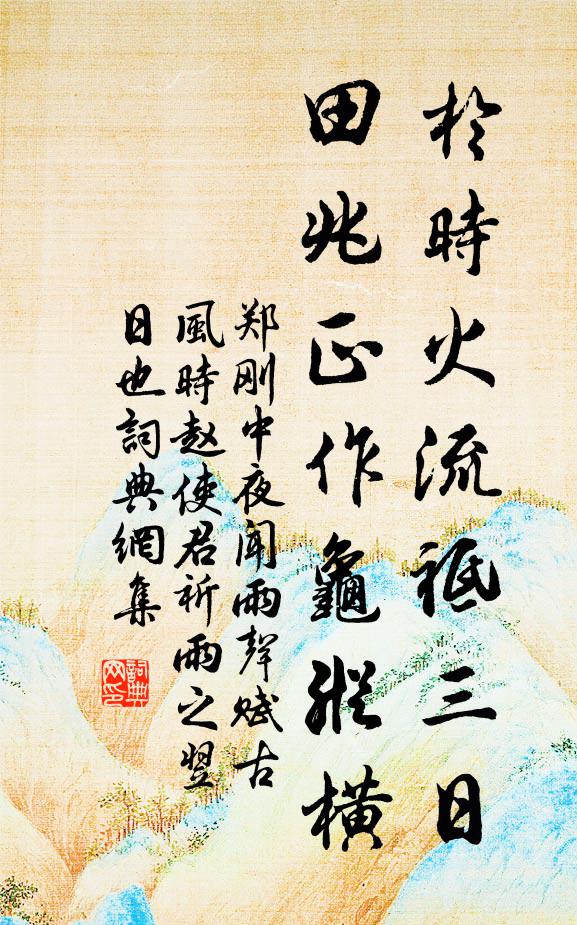 郑刚中于时火流祗三日，田兆正作龟纵横书法作品欣赏