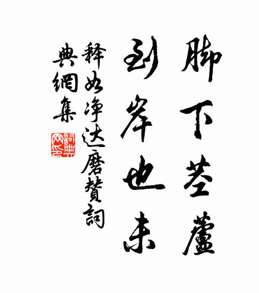 释如净脚下茎芦，到岸也未书法作品欣赏