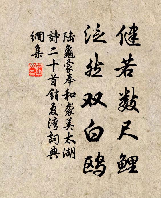陆龟蒙健若数尺鲤，泛然双白鸥书法作品欣赏