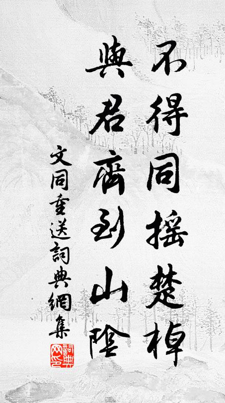文同不得同摇楚棹，与君齐到山阴书法作品欣赏