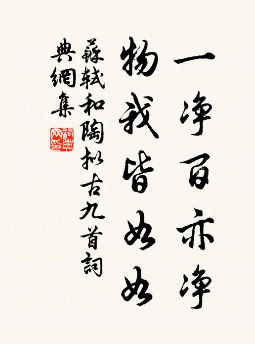 苏轼一净百亦净，物我皆如如书法作品欣赏