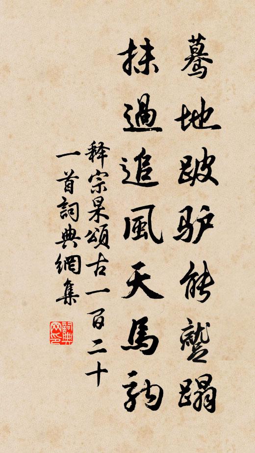 释宗杲蓦地跛驴能蹴蹋，抹过追风天马驹书法作品欣赏