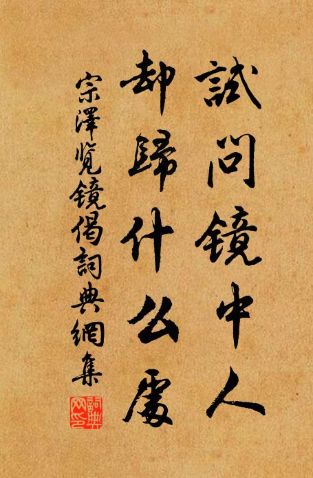 宗泽试问镜中人，却归什么处书法作品欣赏