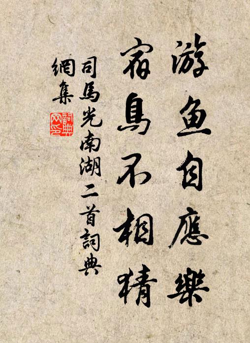 司马光游鱼自应乐，宿鸟不相猜书法作品欣赏