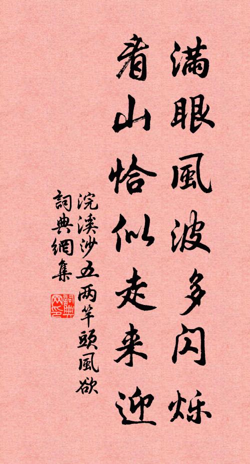 佚名满眼风波多闪烁，看山恰似走来迎书法作品欣赏