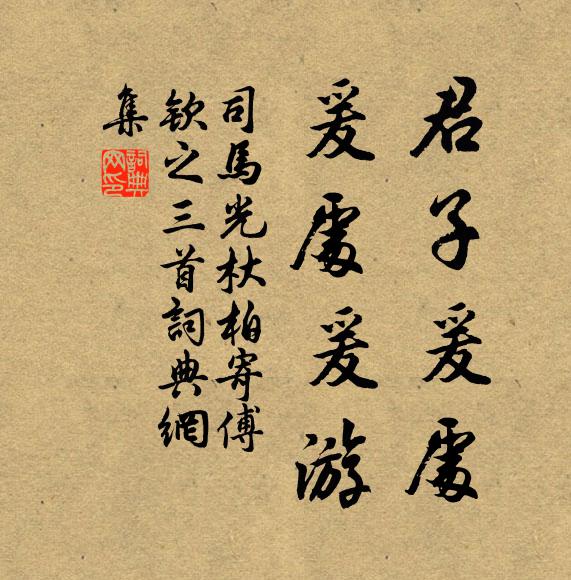 司马光君子爰处，爰处爰游书法作品欣赏