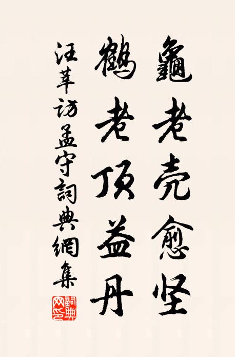 汪莘龟老壳愈坚,鹤老顶益丹书法作品欣赏