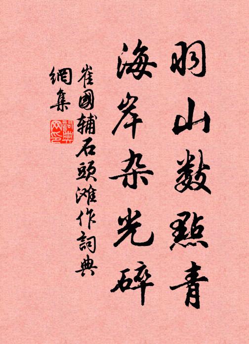 崔国辅羽山数点青，海岸杂光碎书法作品欣赏