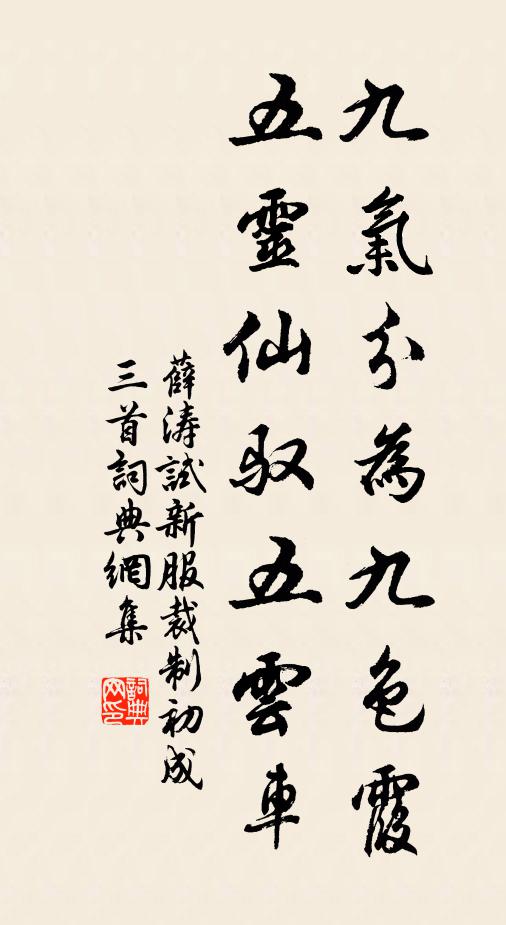薛涛九气分为九色霞，五灵仙驭五云车书法作品欣赏