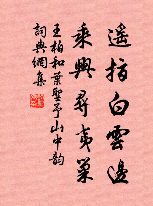 王柏遥指白云边，乘兴寻夷巢书法作品欣赏