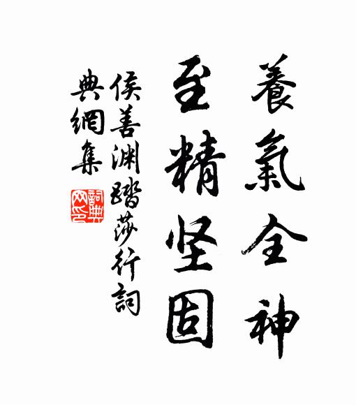 侯善渊养气全神，至精坚固书法作品欣赏