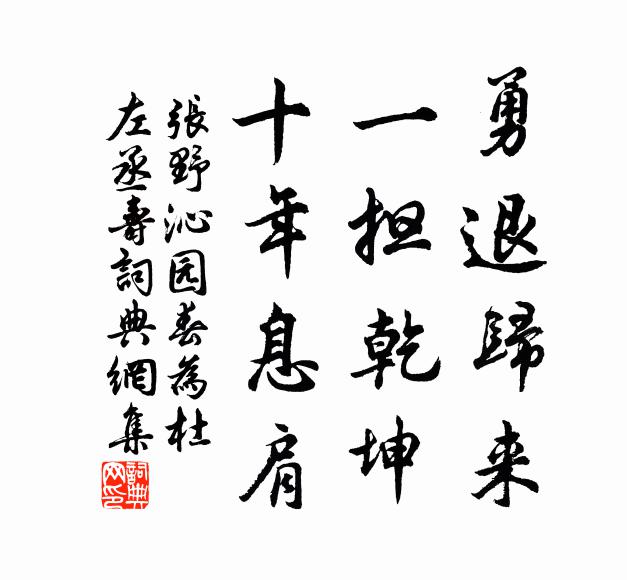 张野勇退归来，一担乾坤，十年息肩书法作品欣赏