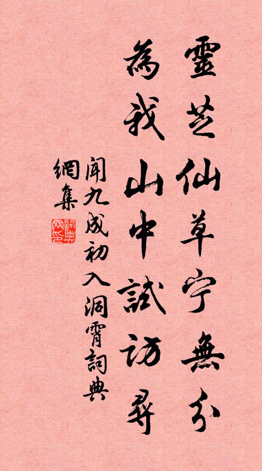 闻九成灵芝仙草宁无分，为我山中试访寻书法作品欣赏