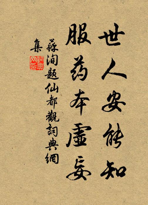 苏洵世人安能知，服药本虚妄书法作品欣赏
