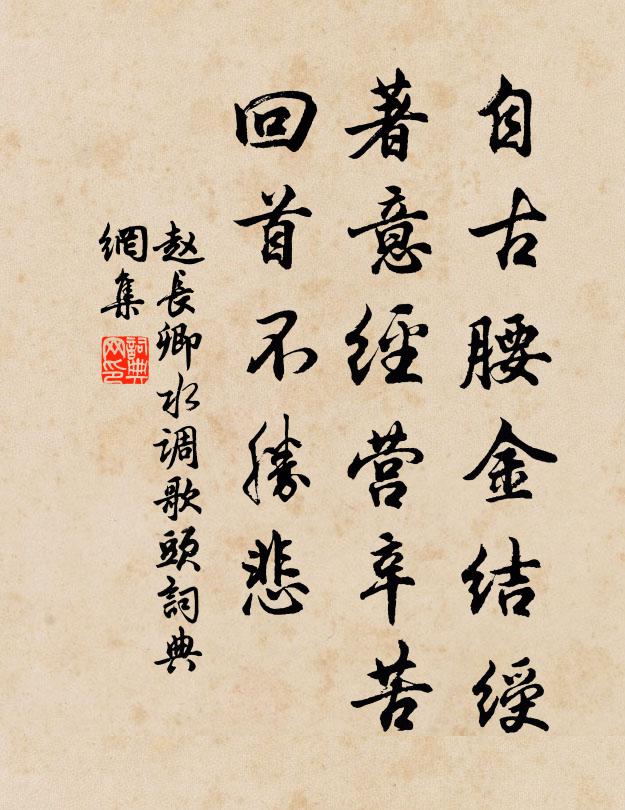 赵长卿自古腰金结绶，著意经营辛苦，回首不胜悲书法作品欣赏