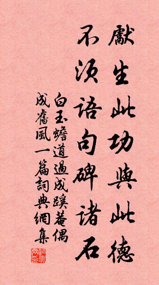 白玉蟾先生此功与此德，不须语句碑诸石书法作品欣赏