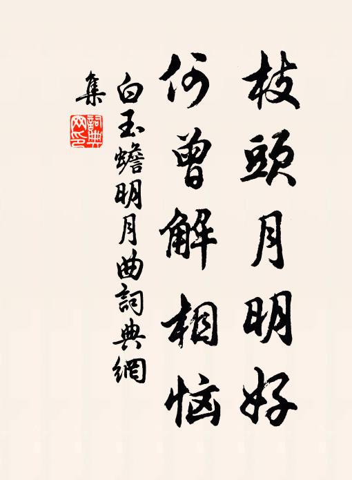 白玉蟾枝头月明好，何曾解相恼书法作品欣赏