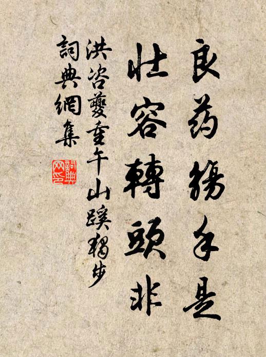 洪咨夔良药觞手是，壮容转头非书法作品欣赏
