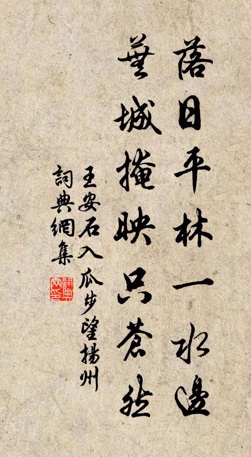 王安石落日平林一水边，芜城掩映只苍然书法作品欣赏