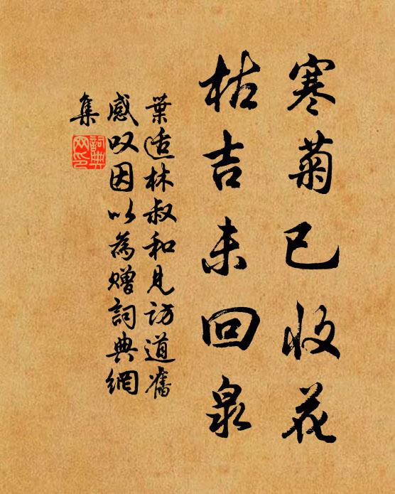 叶适寒菊已收花，枯吉未回泉书法作品欣赏