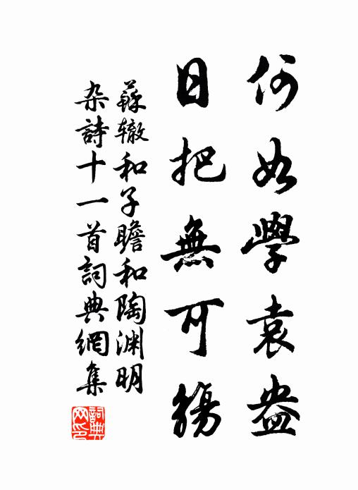 苏辙何如学袁盎，日把无可觞书法作品欣赏