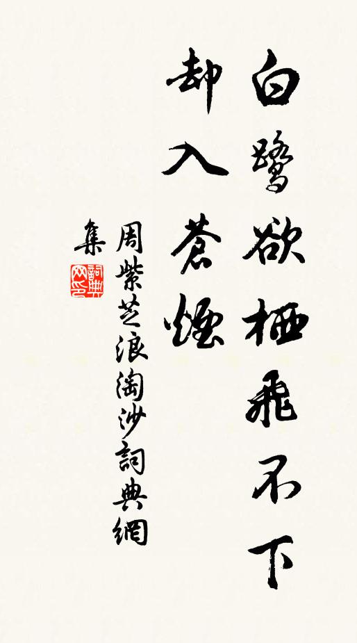 周紫芝白鹭欲栖飞不下，却入苍烟书法作品欣赏