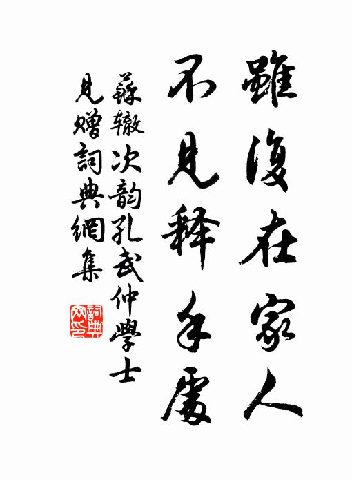 苏辙虽复在家人，不见释手处书法作品欣赏