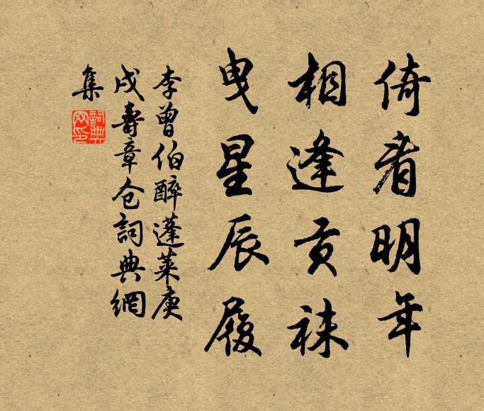 李曾伯倚看明年，相逢贡袜，曳星辰履书法作品欣赏