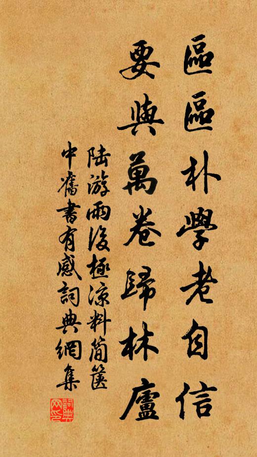 陆游区区朴学老自信，要与万卷归林庐书法作品欣赏