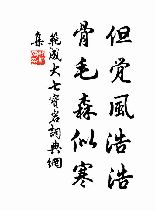 范成大但觉风浩浩，骨毛森似寒书法作品欣赏