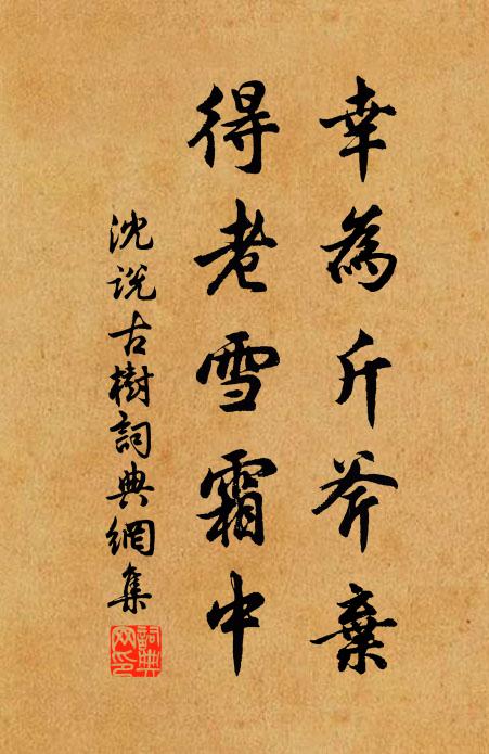 沈说幸为斤斧弃，得老雪霜中书法作品欣赏