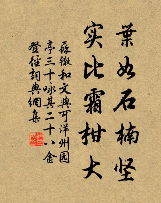苏辙叶如石楠坚，实比霜柑大书法作品欣赏