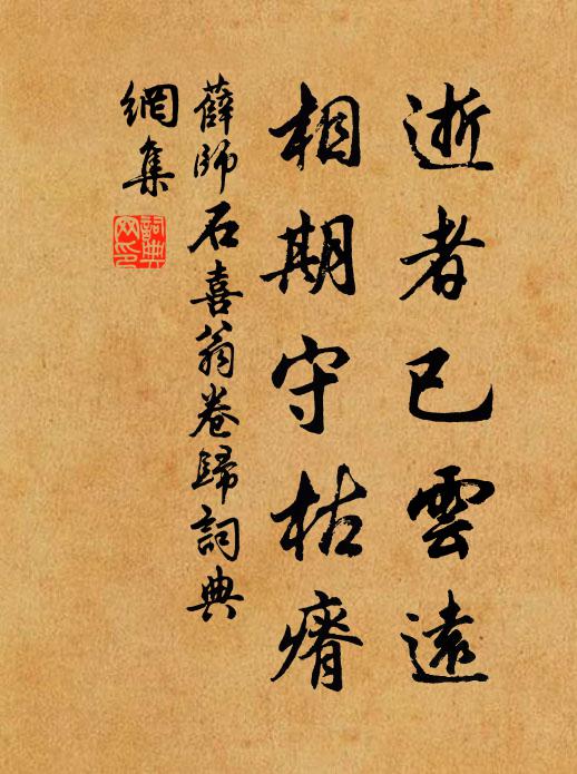 薛师石逝者已云远，相期守枯瘠书法作品欣赏