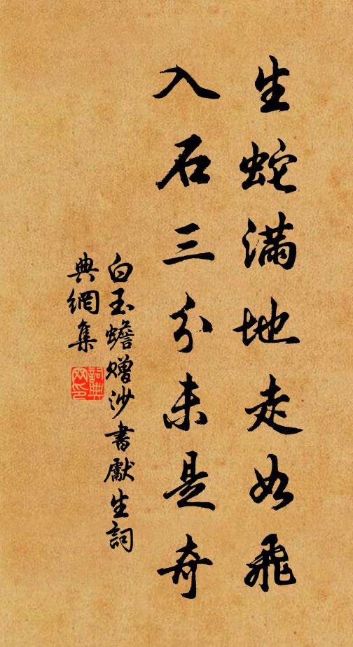 白玉蟾生蛇满地走如飞，入石三分未是奇书法作品欣赏
