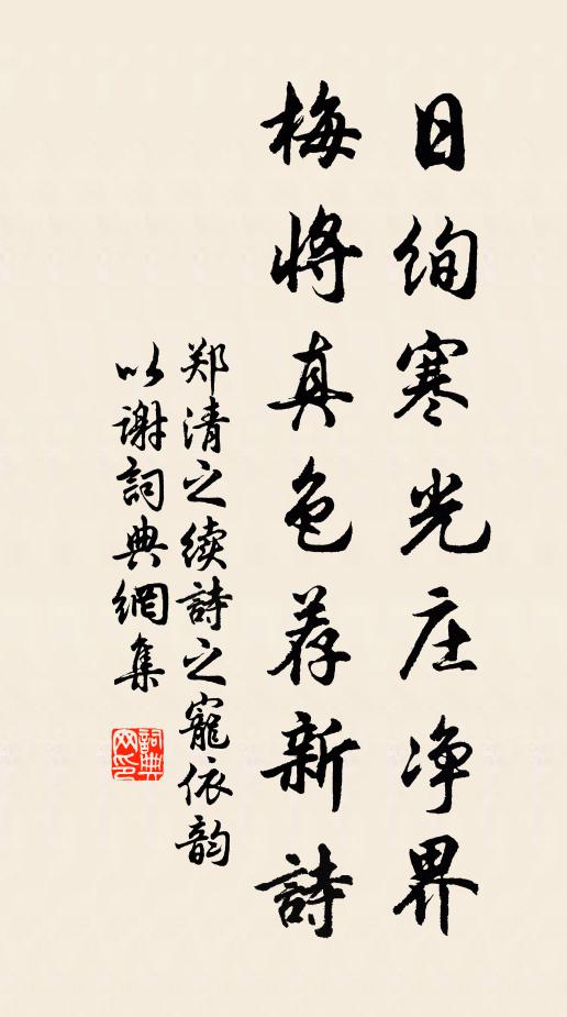 郑清之日绚寒光庄净界，梅将真色荐新诗书法作品欣赏