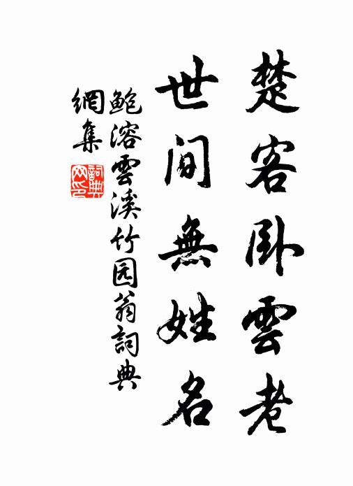 鲍溶楚客卧云老，世间无姓名书法作品欣赏