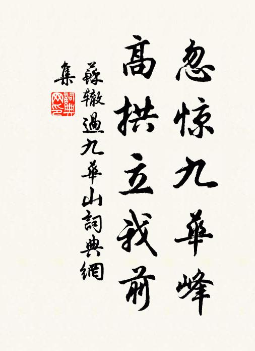 苏辙忽惊九华峰，高拱立我前书法作品欣赏
