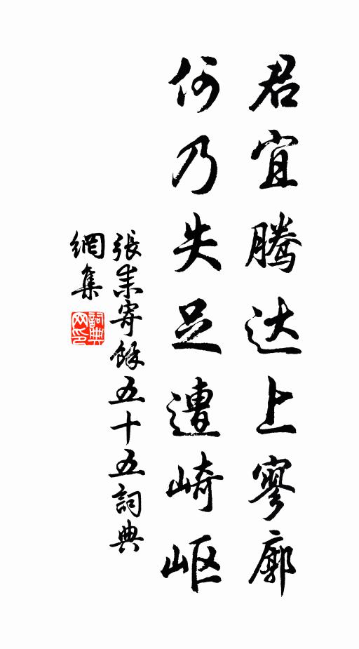 张耒君宜腾达上寥廓，何乃失足遭崎岖书法作品欣赏