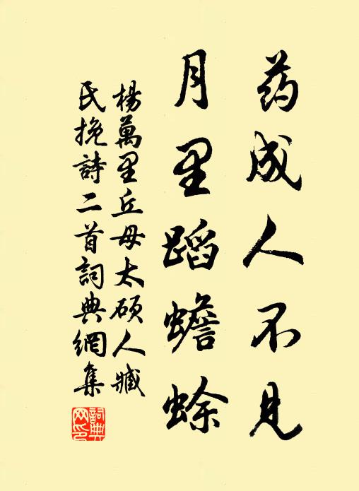 杨万里药成人不见，月里蹈蟾蜍书法作品欣赏