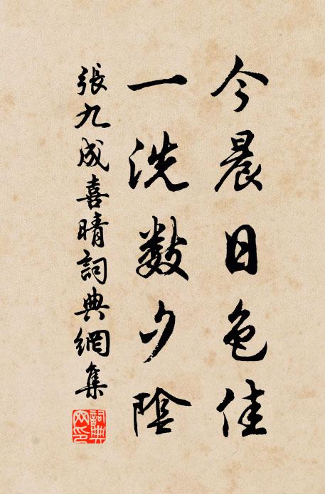 张九成今晨日色佳，一洗数夕阴书法作品欣赏