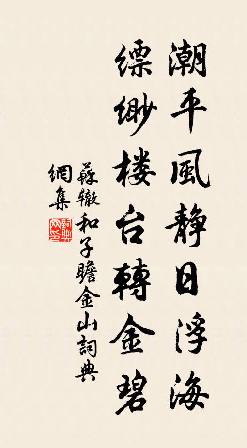 苏辙潮平风静日浮海，缥缈楼台转金碧书法作品欣赏