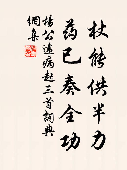 杨公远杖能供半力，药已奏全功书法作品欣赏