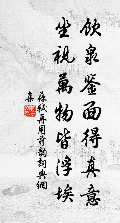 苏轼饮泉鉴面得真意，坐视万物皆浮埃书法作品欣赏