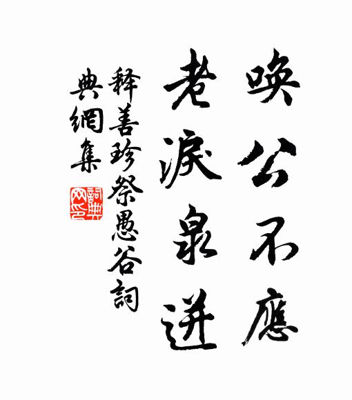 释善珍唤公不应，老泪泉迸书法作品欣赏