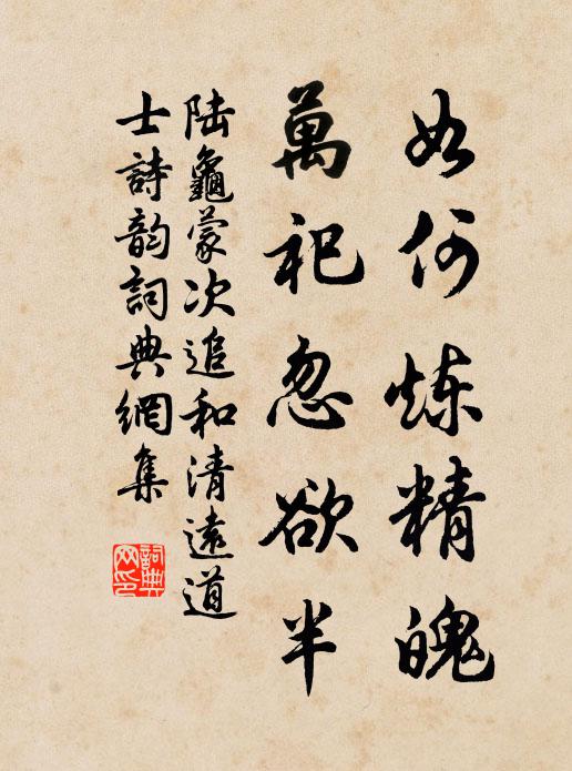 陆龟蒙如何炼精魄，万祀忽欲半书法作品欣赏