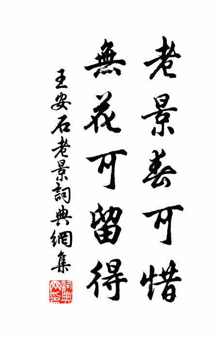 王安石老景春可惜，无花可留得书法作品欣赏